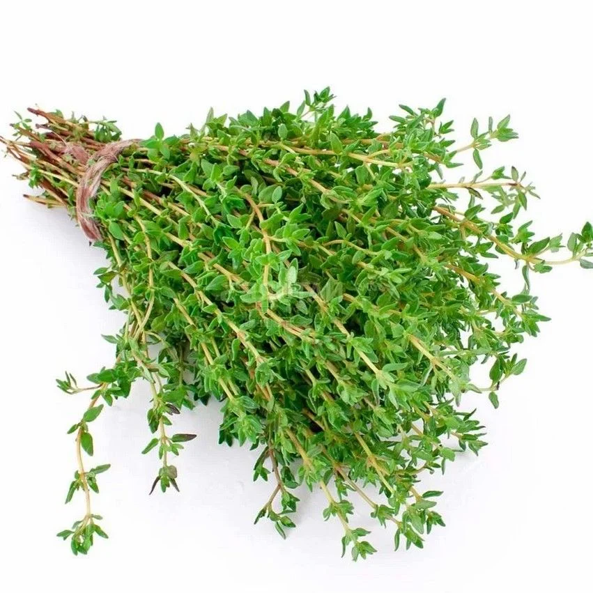 Kekikli Yem Aroması